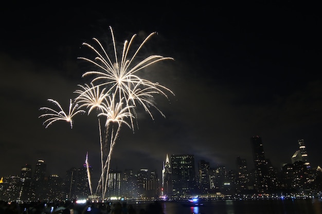 Vista de bajo ángulo de la exhibición de fuegos artificiales por la noche