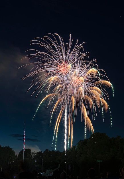Vista de bajo ángulo de la exhibición de fuegos artificiales por la noche