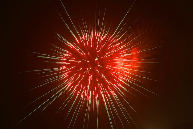 Vista de bajo ángulo de la exhibición de fuegos artificiales por la noche