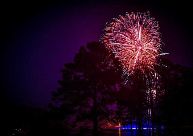 Foto vista de ángulo bajo de la exhibición de fuegos artificiales sobre el lago por la noche