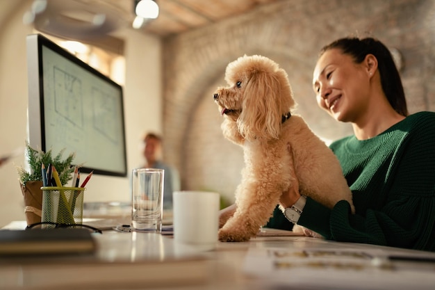 Vista de ángulo bajo de la feliz mujer de negocios asiática con su caniche trabajando en la oficina El foco está en el perro