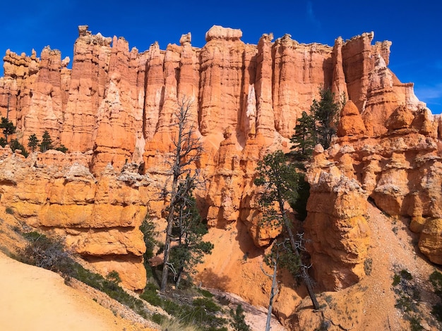 Vista de ángulo bajo de formaciones rocosas en el Parque Nacional Bryce Canyon