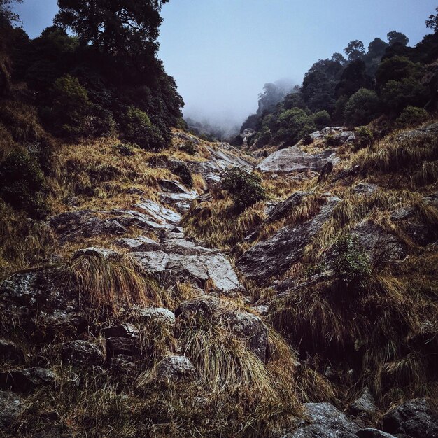 Foto vista de ángulo bajo de formaciones rocosas durante el tiempo de niebla