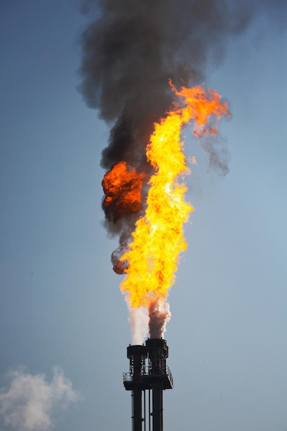 Foto vista de ángulo bajo de fuego ardiendo contra el cielo