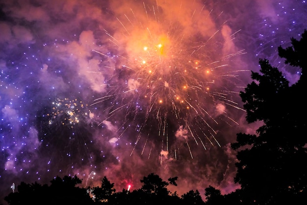 Vista de bajo ángulo de fuegos artificiales contra el cielo nocturno