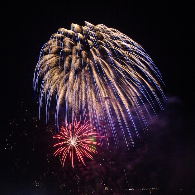 Vista de bajo ángulo de fuegos artificiales contra el cielo nocturno