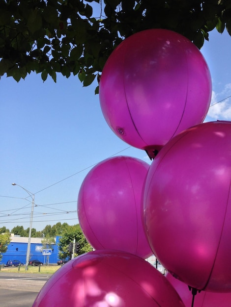 Vista de ángulo bajo de globos contra un cielo despejado