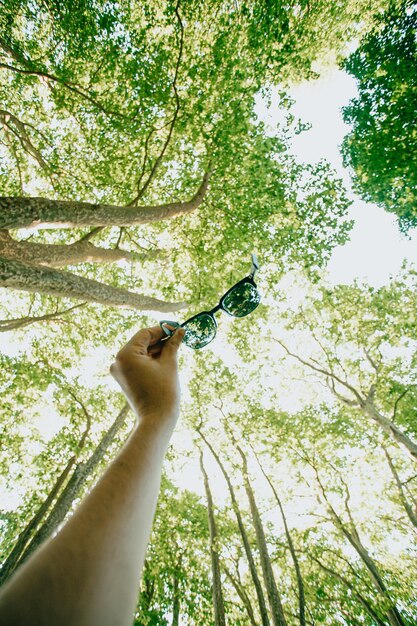 Foto vista de ángulo bajo de un hombre sosteniendo un árbol en el bosque