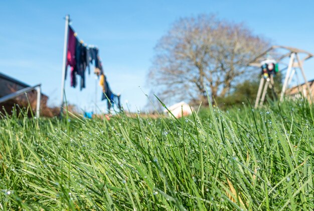 Foto vista de bajo ángulo de la línea de ropa vista a través de la hierba en el jardín residencial