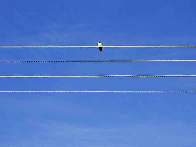Foto vista de ángulo bajo de líneas eléctricas contra el cielo azul claro