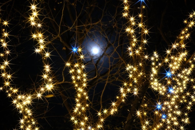 Foto vista en bajo ángulo de las luces de cuerda iluminadas por la noche