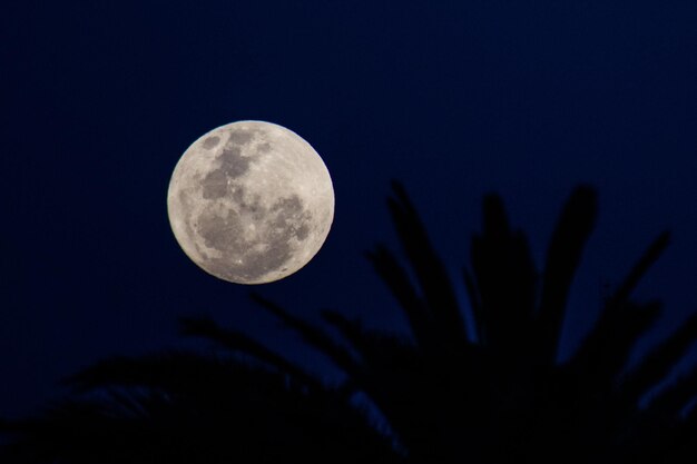 Foto vista de bajo ángulo de la luna contra un cielo despejado por la noche