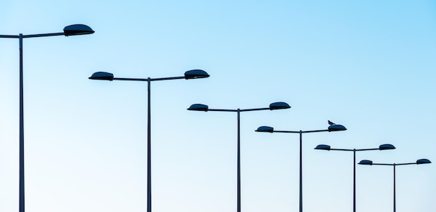 Vista de ángulo bajo de la luz de la calle contra un cielo despejado