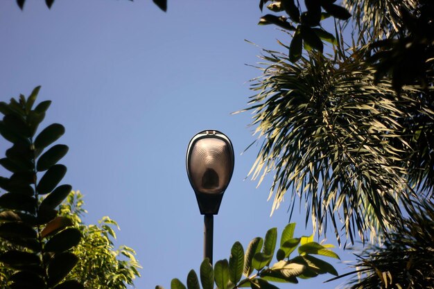 Foto vista de ángulo bajo de la luz de la calle contra el cielo