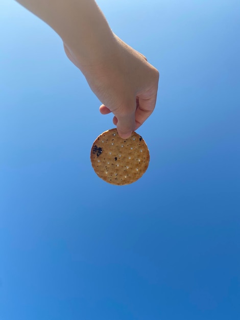 Foto vista de ángulo bajo de la mano sosteniendo un coco contra un fondo azul