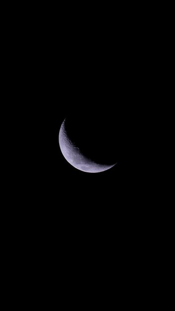 Foto vista de bajo ángulo de la media luna contra el cielo por la noche