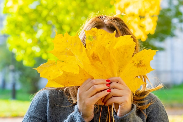 Vista de ángulo medio frontal de mujer irreconocible sosteniendo hojas de arce vista de mujer con hojas de arce caídas en abrigo cálido al aire libre Fondos de naturaleza Hola otoño