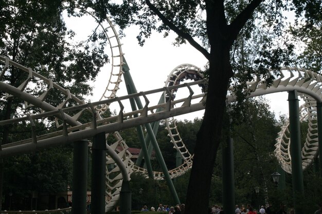 Foto vista de bajo ángulo de la montaña rusa en medio de los árboles en el parque de atracciones