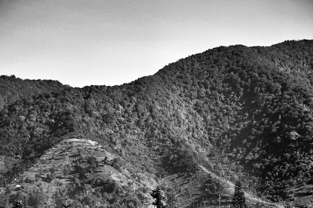 Vista en bajo ángulo de montañas rocosas contra un cielo despejado