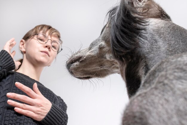 Foto vista de ángulo bajo de la mujer perro contra el techo