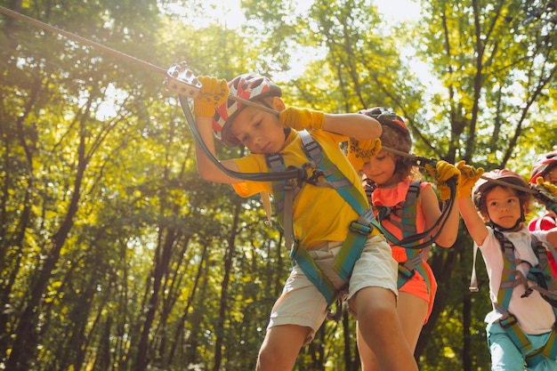 Foto vista de bajo ángulo de una mujer de pie en el bosque