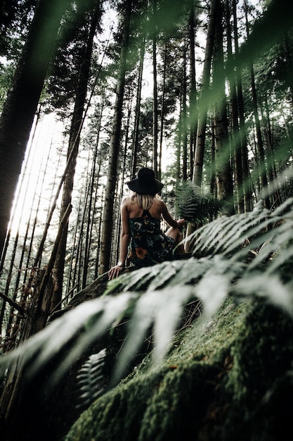 Vista de bajo ángulo de una mujer sentada en una roca vista a través de las plantas en el bosque