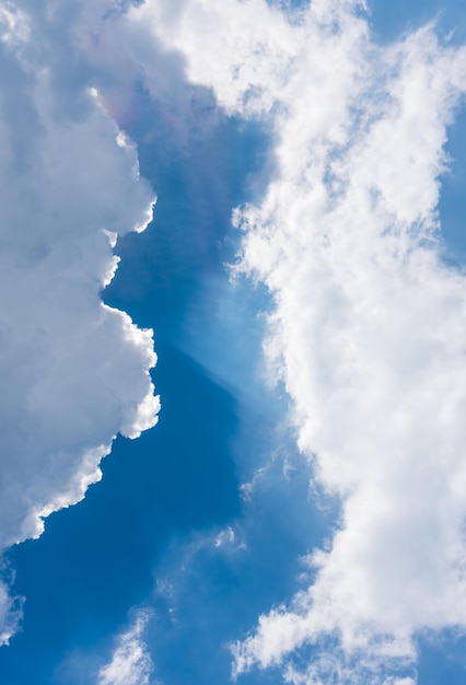 Vista de ángulo bajo de nubes en el cielo