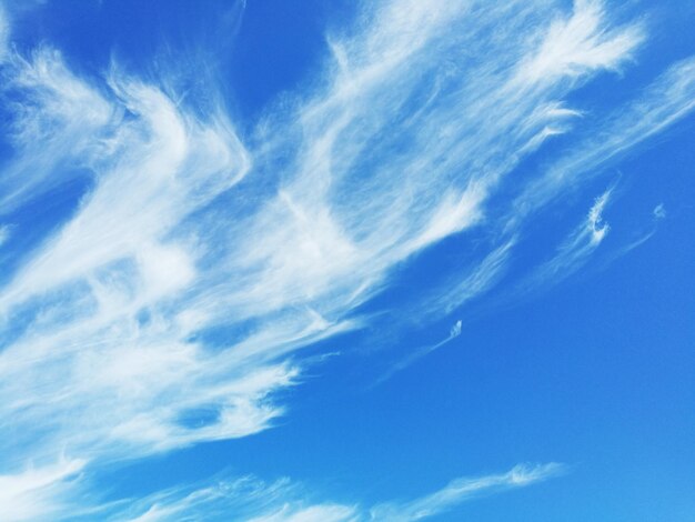 Vista de ángulo bajo de nubes en el cielo