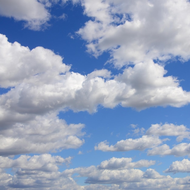 Vista de ángulo bajo de nubes en el cielo