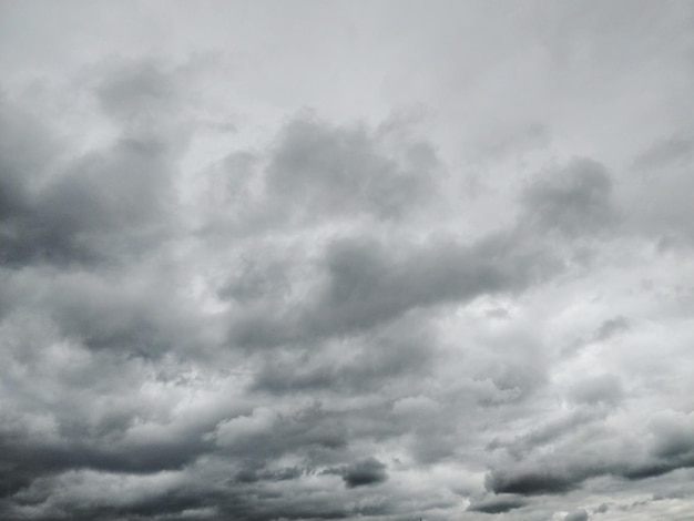 Vista de ángulo bajo de nubes de tormenta en el cielo