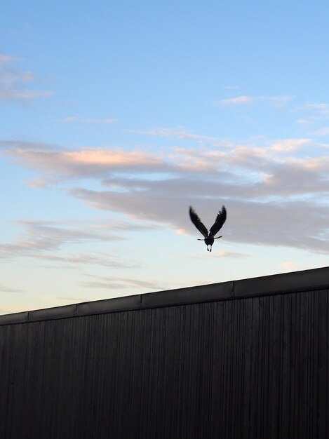 Foto vista de ángulo bajo de un pájaro silueta volando sobre una estructura construida contra el cielo azul