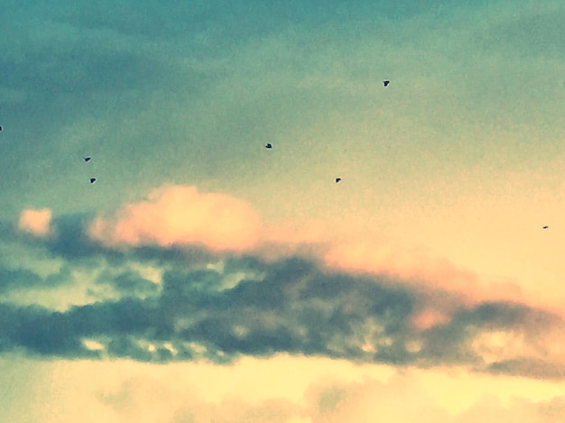 Foto vista de ángulo bajo de un pájaro volando en el cielo