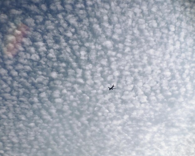 Foto vista de ángulo bajo de un pájaro volando contra un cielo nublado