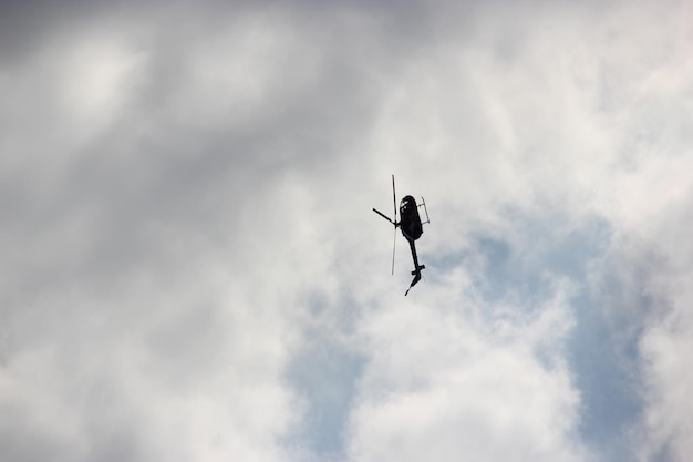 Vista de bajo ángulo de un pájaro volando