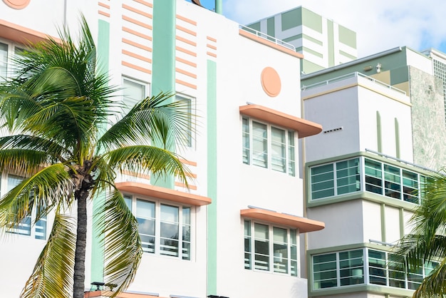 Vista de ángulo bajo de la palmera por el edificio contra el cielo