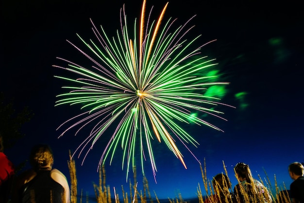 Vista de bajo ángulo de personas mirando la exhibición de fuegos artificiales por la noche