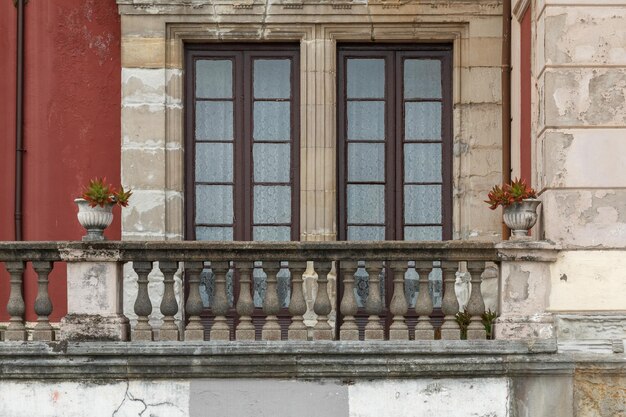 Foto vista de ángulo bajo de plantas en maceta en la ventana del edificio