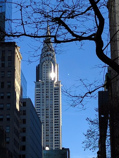 Foto vista en bajo ángulo de rascacielos contra el cielo