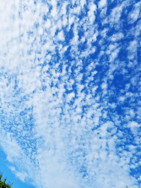 Foto vista de ángulo bajo del rastro de vapor en el cielo