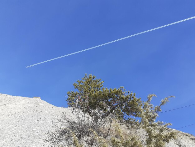 Vista de ángulo bajo del rastro de vapor contra un cielo azul claro