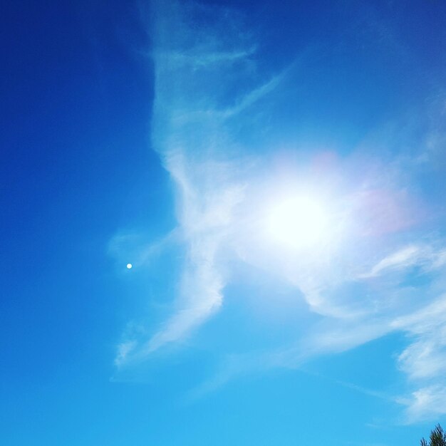 Vista de ángulo bajo de rastros de vapor en el cielo