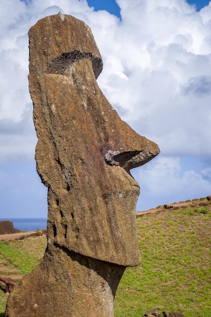 Foto vista de ángulo bajo de la roca en el campo contra el cielo