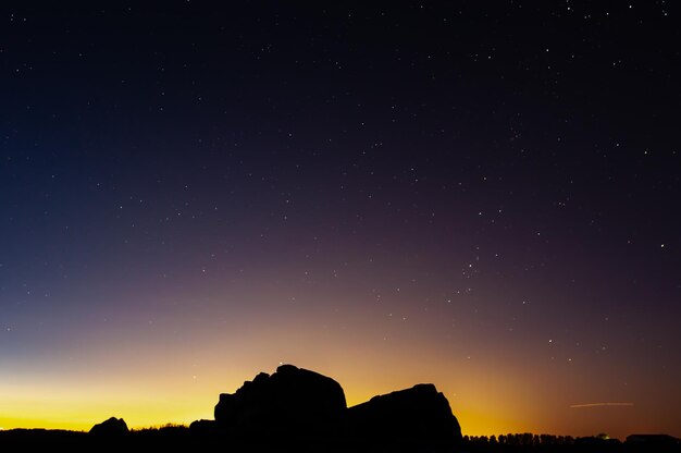 Vista de ángulo bajo de las siluetas de los árboles contra el cielo por la noche