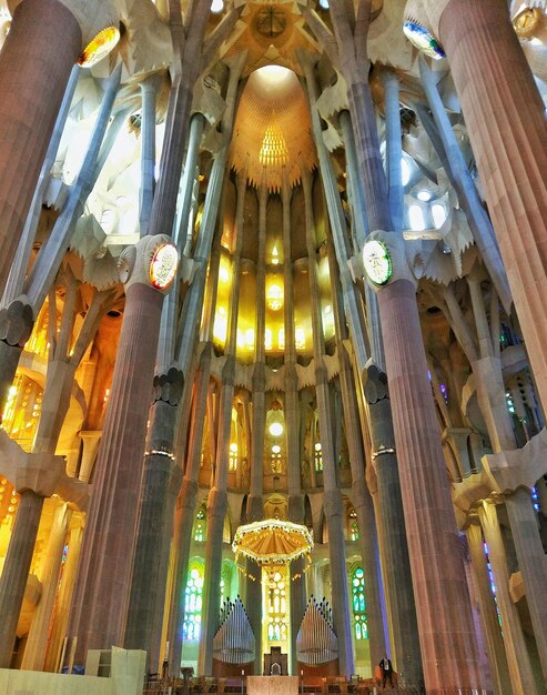 Foto vista desde un ángulo bajo del techo de la catedral