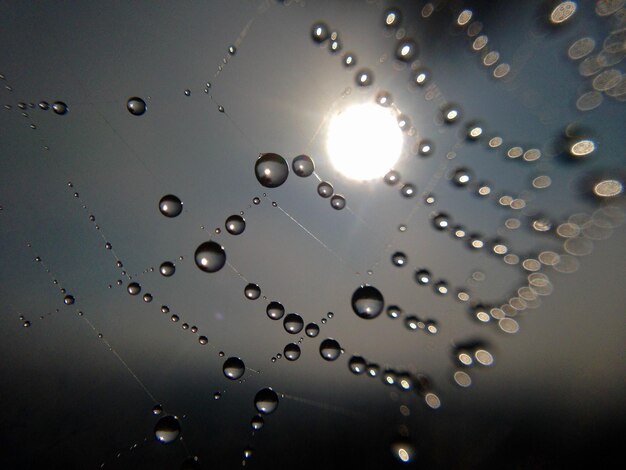 Foto vista de bajo ángulo de la telaraña húmeda contra el cielo