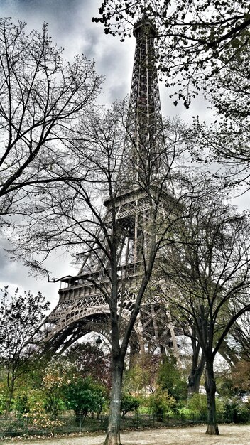 Vista en bajo ángulo de la Torre Eiffel por los árboles