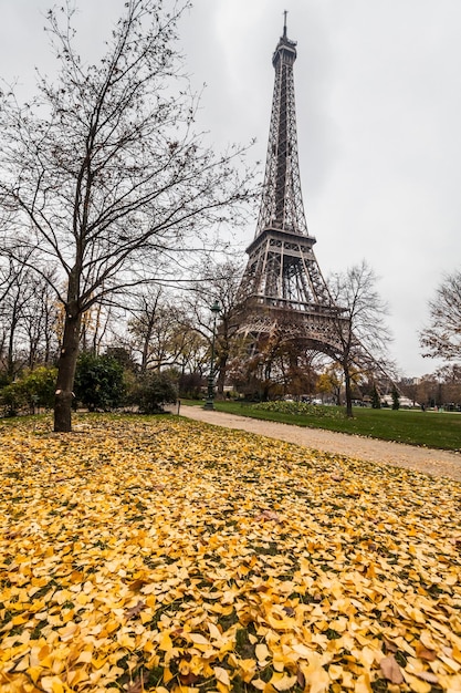 Foto vista en bajo ángulo de la torre eiffel contra el cielo