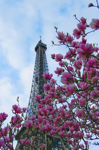 Foto vista en bajo ángulo de la torre eiffel