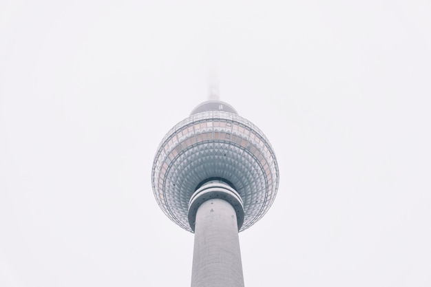Vista en bajo ángulo de la torre de helechos contra un cielo despejado
