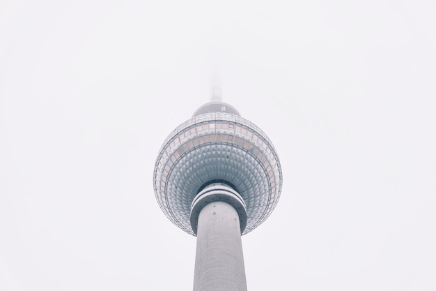 Vista de bajo ángulo de la torre de helechos contra un cielo despejado